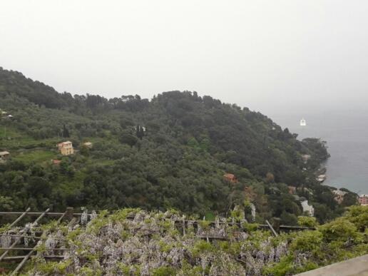 a hill with trees and a boat in the water at Trekking in paradise B&B in Santa Margherita Ligure