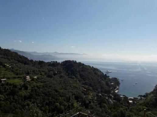 a view of the ocean from a hill with trees at Trekking in paradise B&B in Santa Margherita Ligure