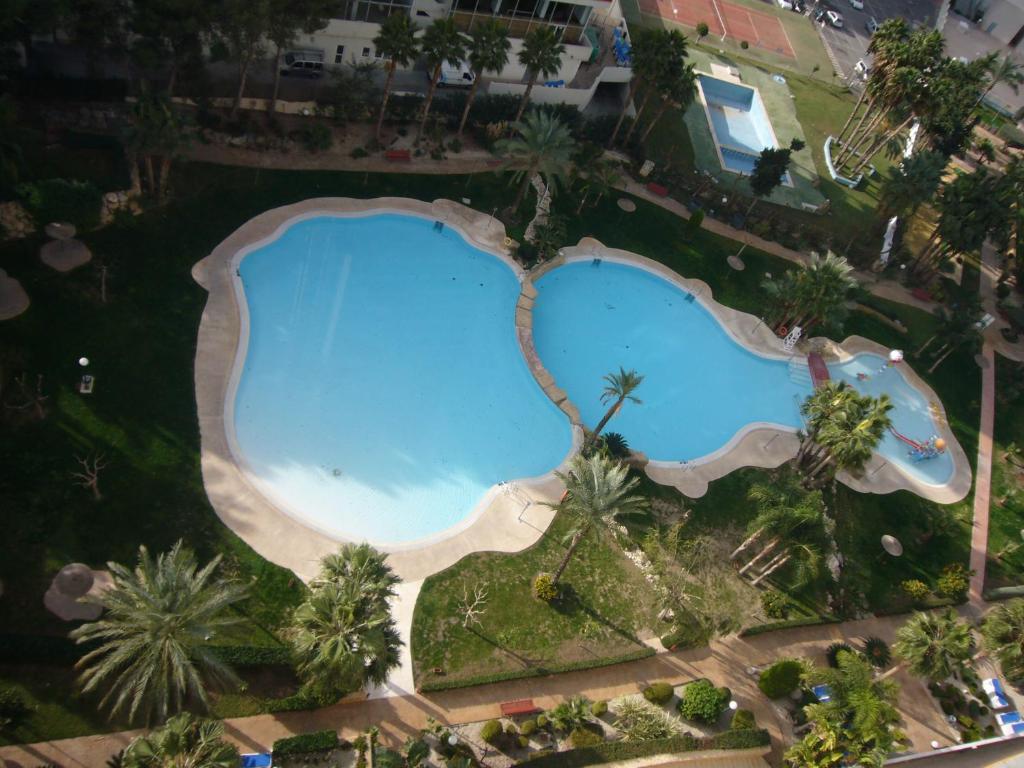 an overhead view of a large swimming pool with palm trees at Gemelos 22 - Fincas Arena in Benidorm