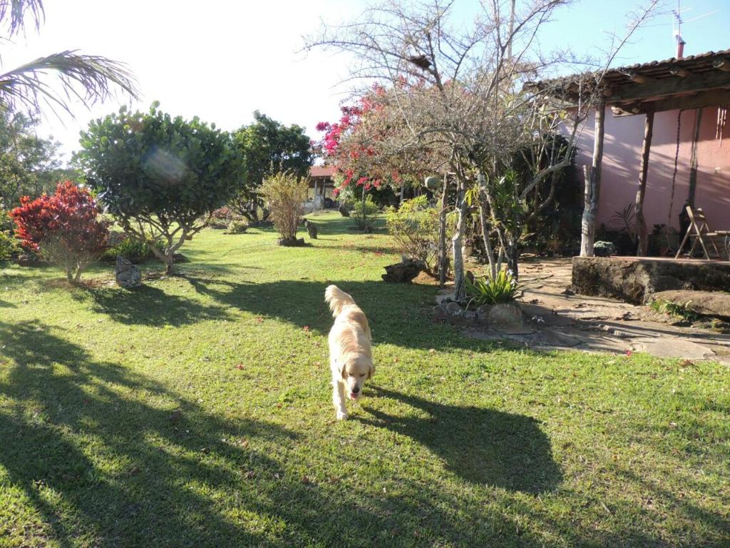  Pousada Sitio da Serra