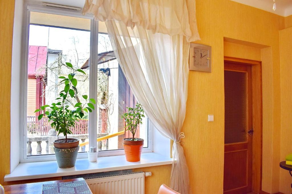 a window with three potted plants on a window sill at Cozy room in Kaunas in Kaunas