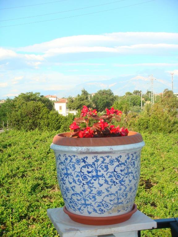 Zahrada ubytování B&B Costa D'Abruzzo