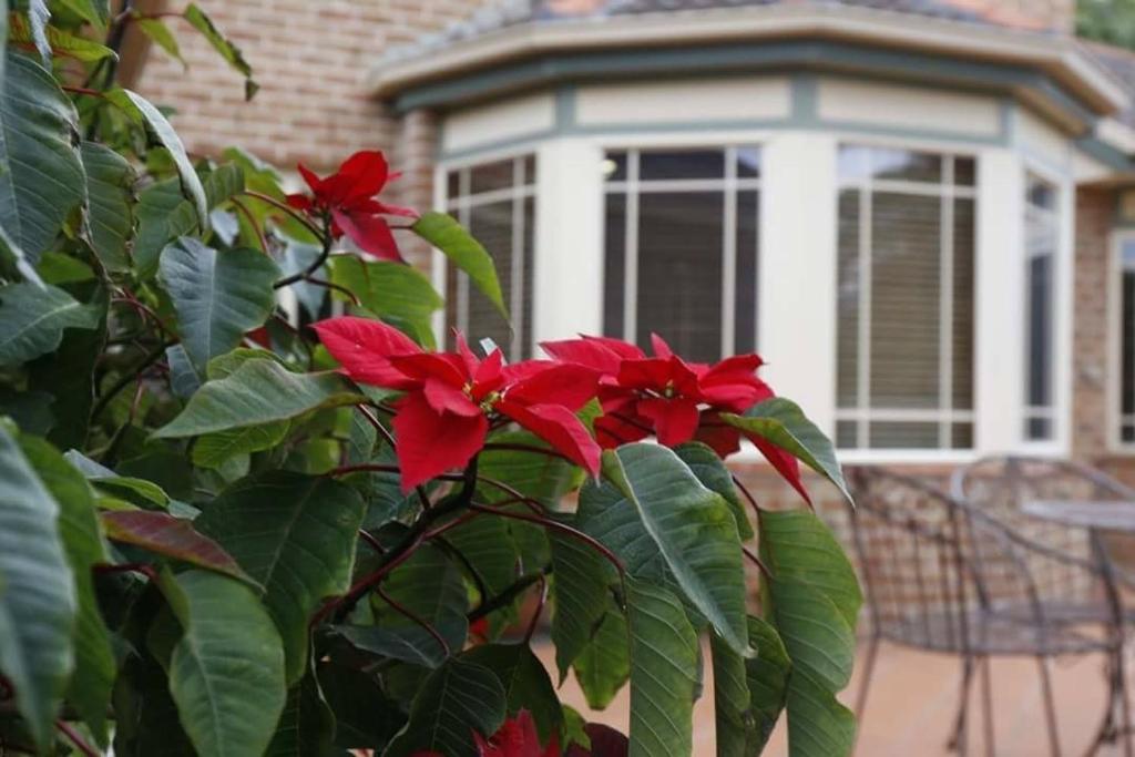 Kiama Guesthouse - Twin Room With Shared Bathroom