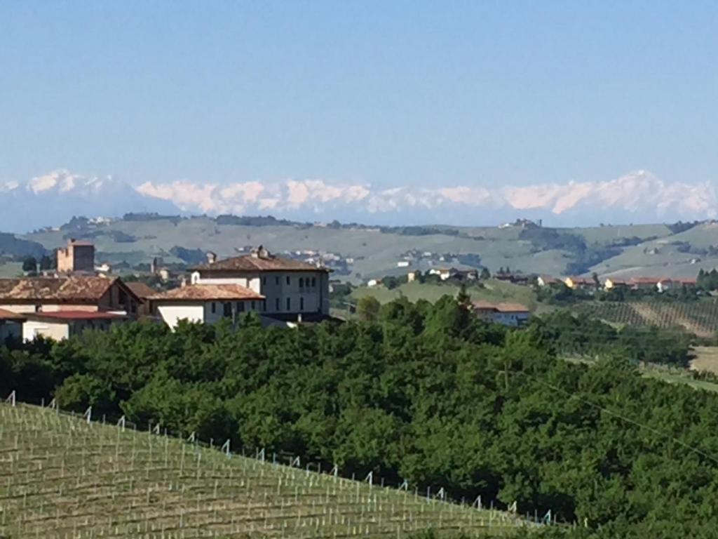 アルバにあるCascina Baresaneの山々を背景にしたブドウ畑の景色