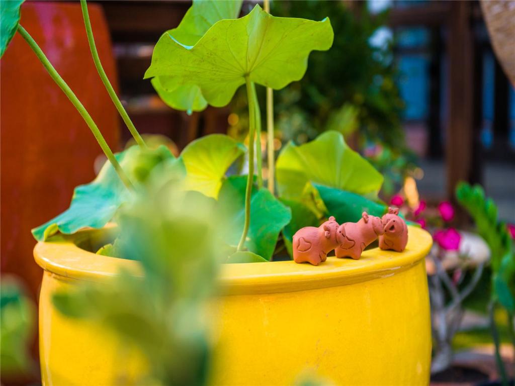 Hetai Boutique Hotel - Resim 32