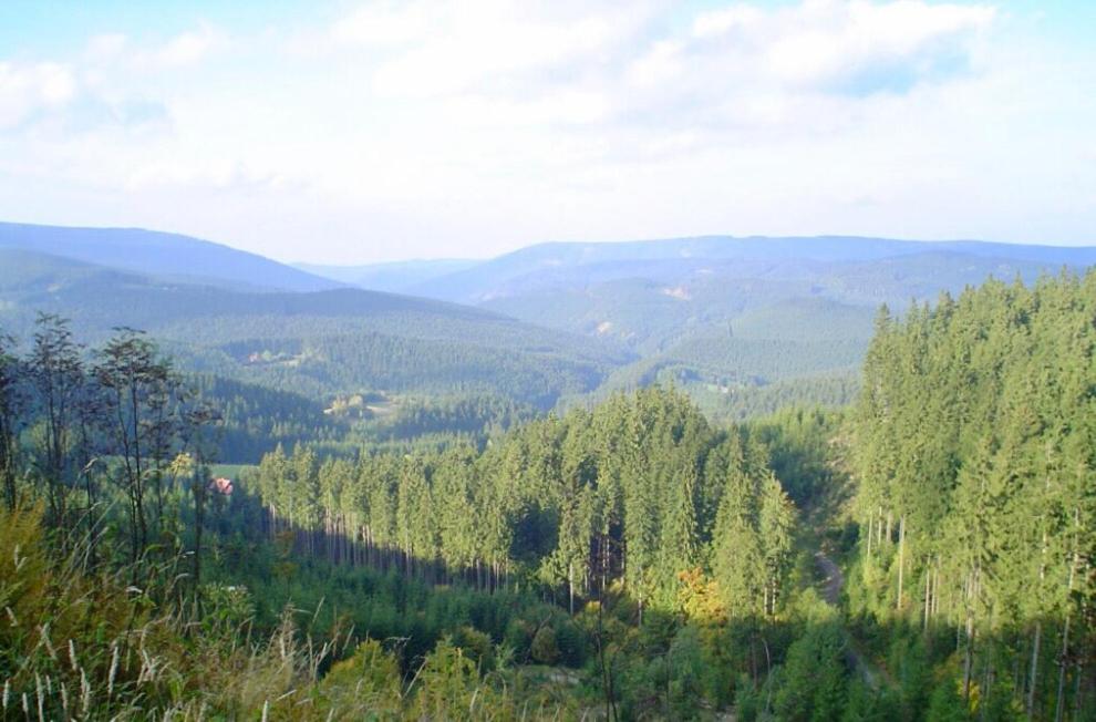 Příroda nedaleko apartmánu