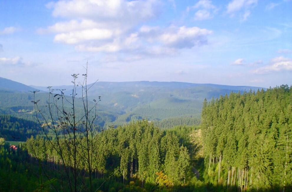 Příroda nedaleko apartmánu