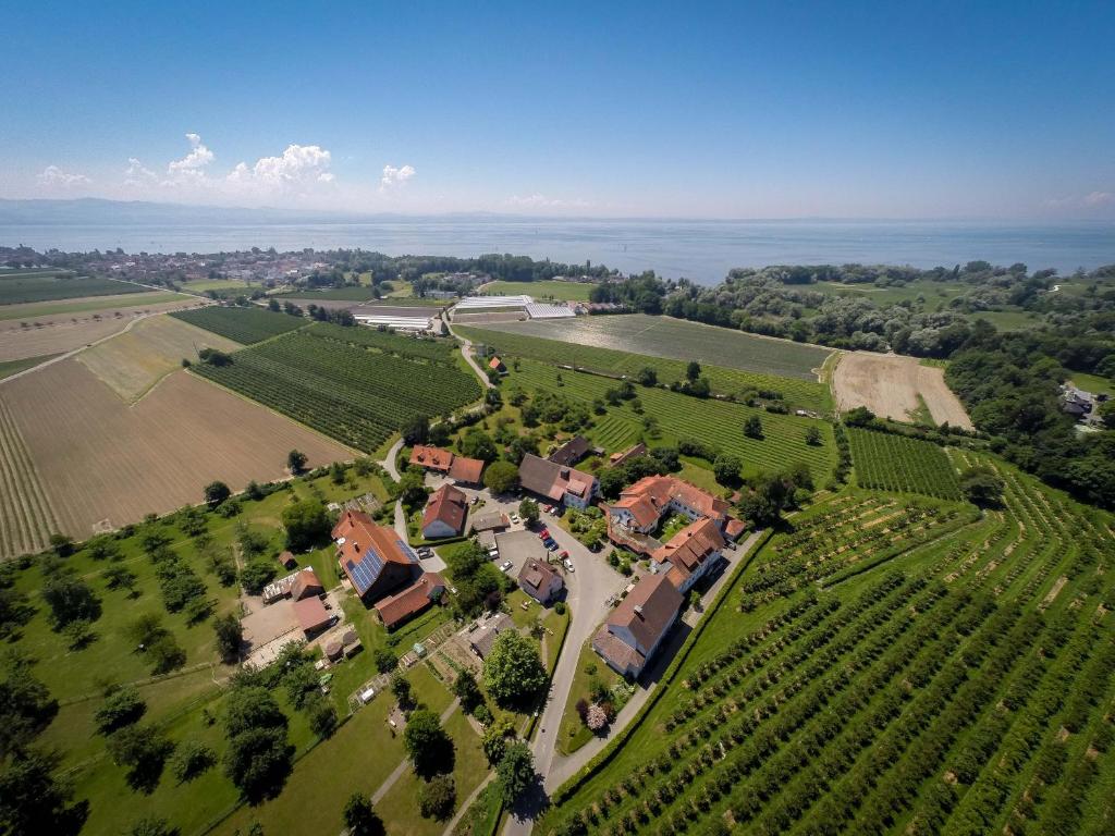 フリードリヒスハーフェンにあるGästehaus St Theresia Bodenseeのブドウ畑・家屋のある敷地の空中風景