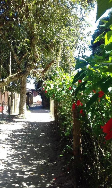  Pousada e Camping Paraíso dos Golfinhos
