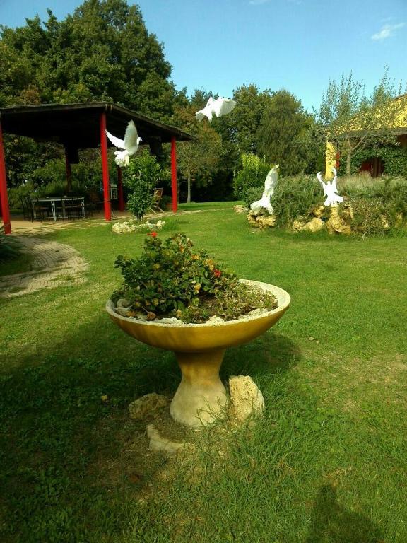 Ogród w obiekcie San Martin del Colle Holiday Home
