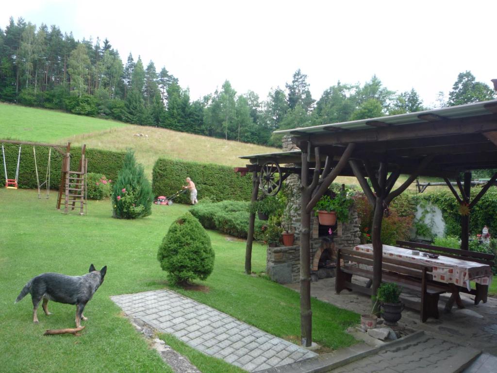 Ein Wolf steht im Gras im Garten in der Unterkunft Ubytovani Eden in Dlouhá Ves