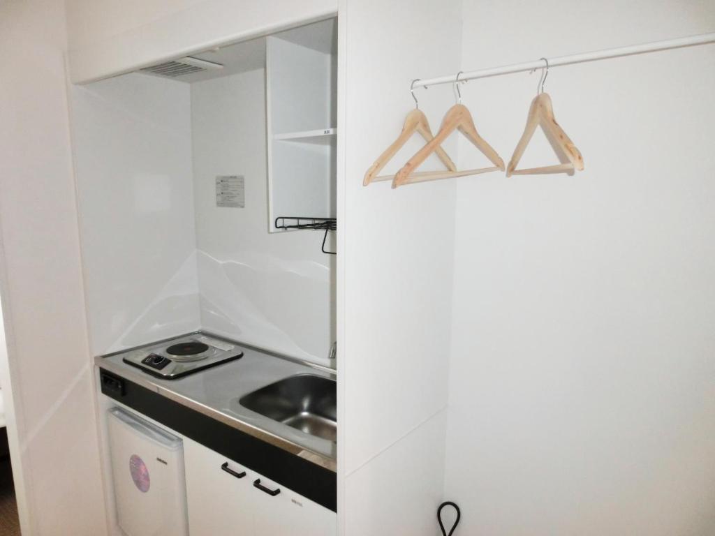 Kuchyň nebo kuchyňský kout v ubytování Guesthouse TOHO