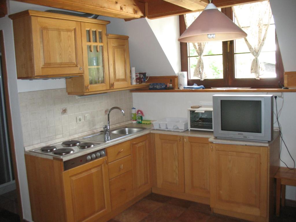 Kuchyň nebo kuchyňský kout v ubytování APARTMAJI STARI KOVAČ