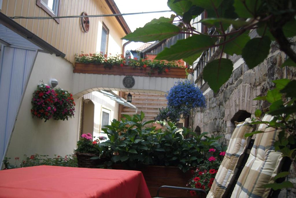 Une allée avec des fleurs et une table avec un tissu de table rouge dans l'établissement Ferienwohnung an der Brockenbahn, à Wernigerode