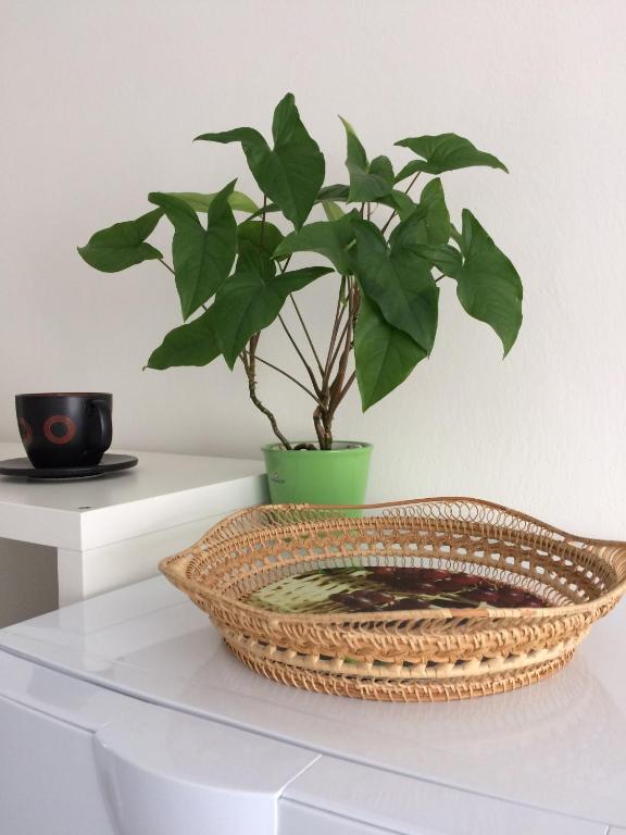 Fotografie z fotogalerie ubytování Apartmán Náměstí Horníků v Trutnově