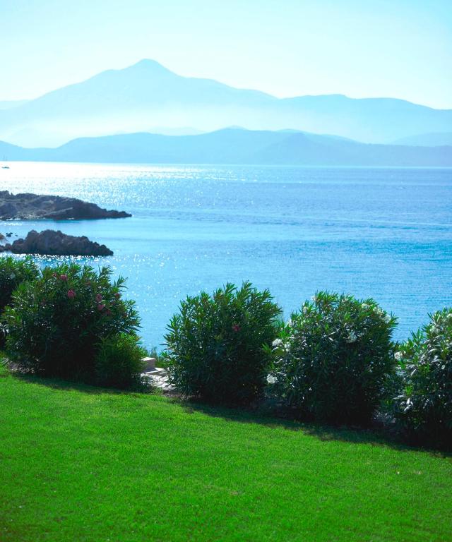 a view of the ocean from a hill with bushes at Proteas Blu Resort in Pythagoreio