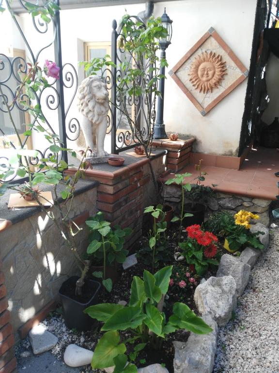 Giardino Del Sole - 14