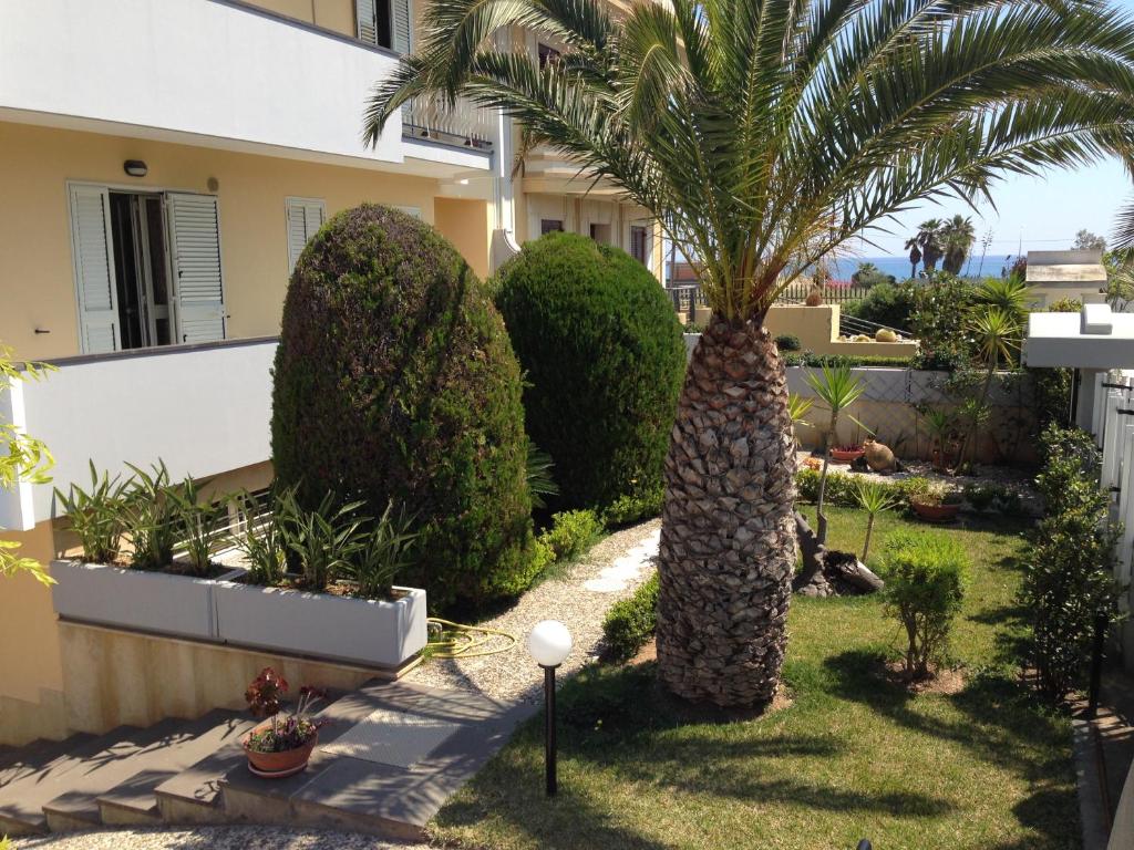 a palm tree in a yard next to a building at Villa Due Palme in Avola
