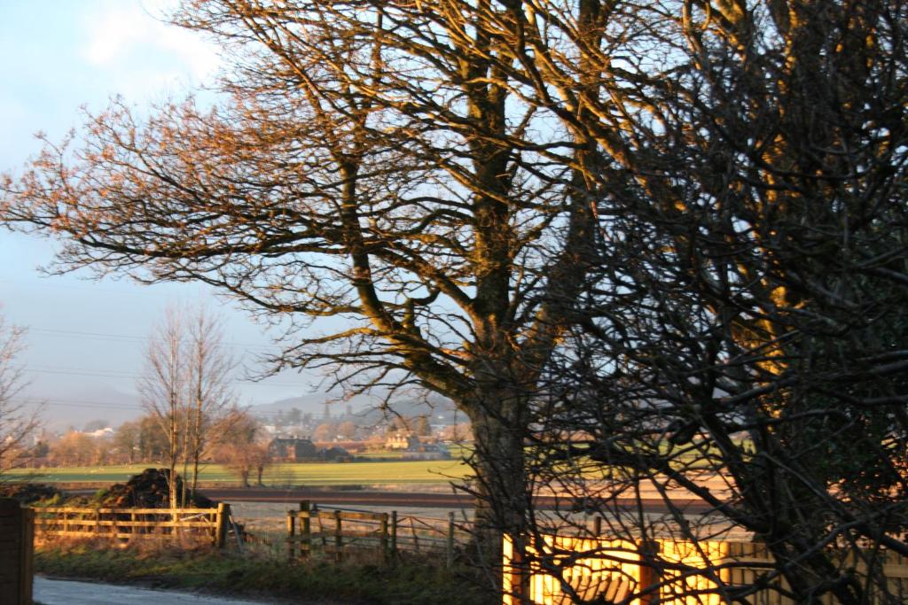 Gallery image of The Highlandman Station in Crieff