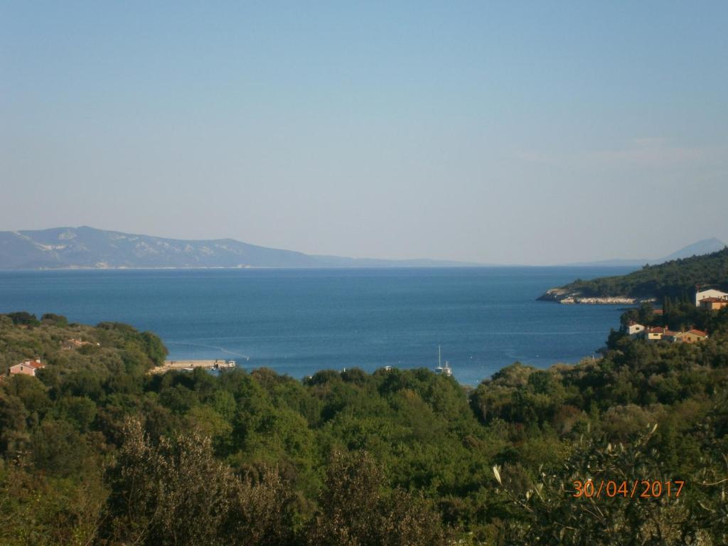 a view of a body of water with trees at Haus Felix in Labin