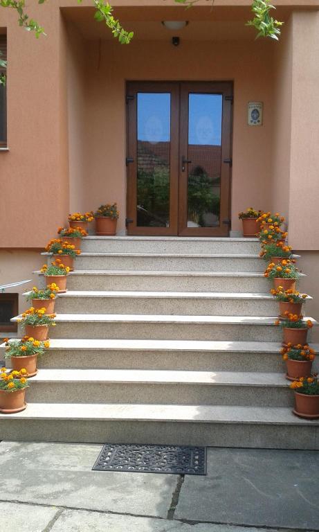 a set of stairs in front of a building with plants at Pensiunea Damiris in Baile Felix