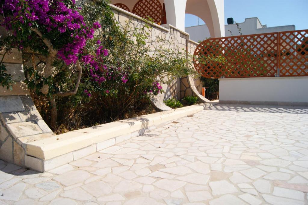Fotografie z fotogalerie ubytování Ville Mancaversa v destinaci Marina di Mancaversa