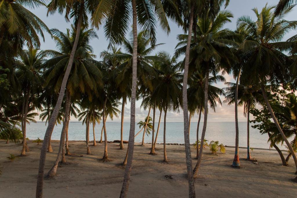 Riveli Retreat Mathiveri - 19