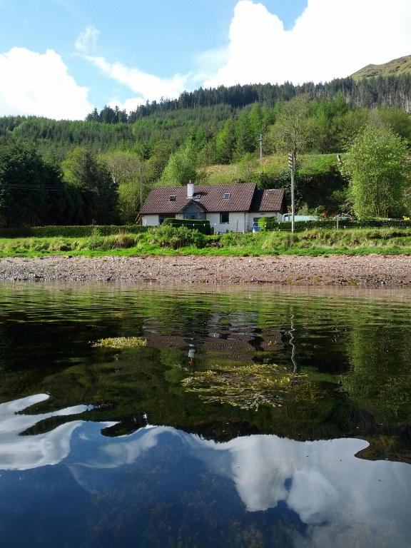 Toads Croak in Letterfearn, Highland, Scotland