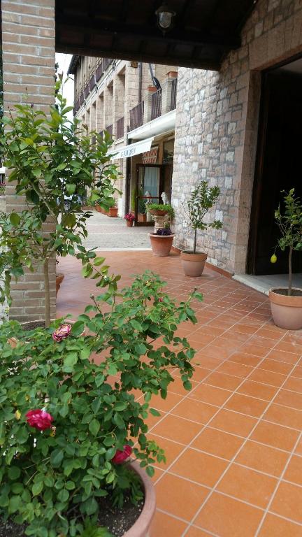 Zahrada ubytování Assisi Garden