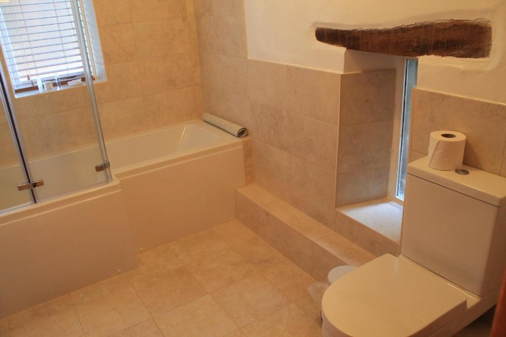 a bathroom with a toilet and a tub and a sink at Old Court Hotel & Apartments in Symonds Yat