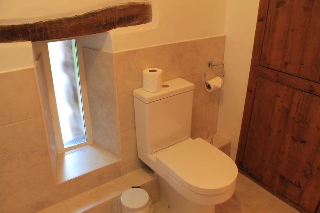 a white toilet in a bathroom with a window at Old Court Hotel & Apartments in Symonds Yat