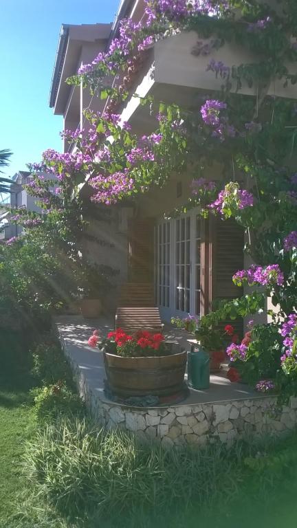 Zahrada ubytování House Marijana Sibenik