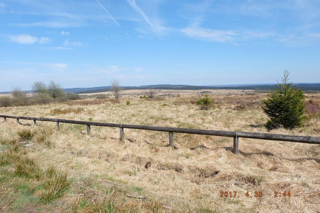 Příroda nedaleko apartmánu