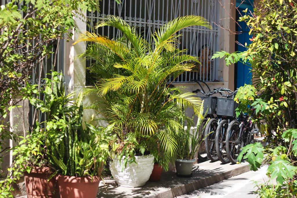  The Bike House