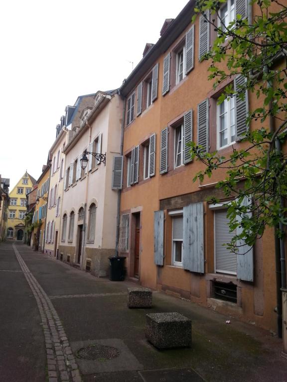 L'Ours de Colmar - Appartements en centre ville – photo 49