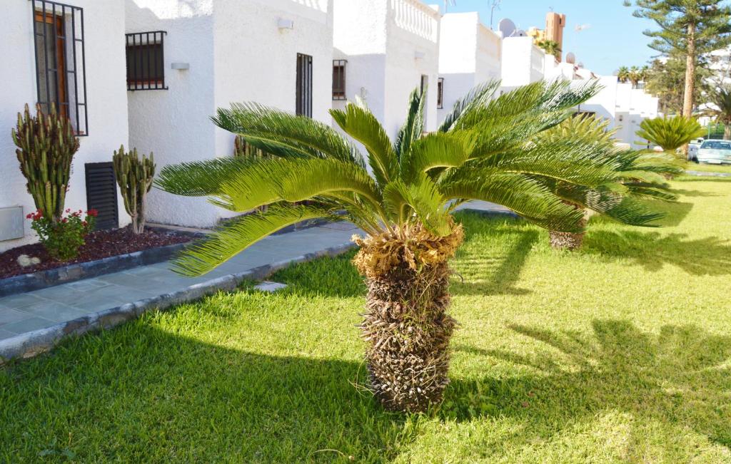 Dream Townhouse - Housity