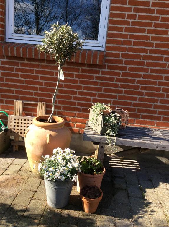 Zahrada ubytování Anita's B & B