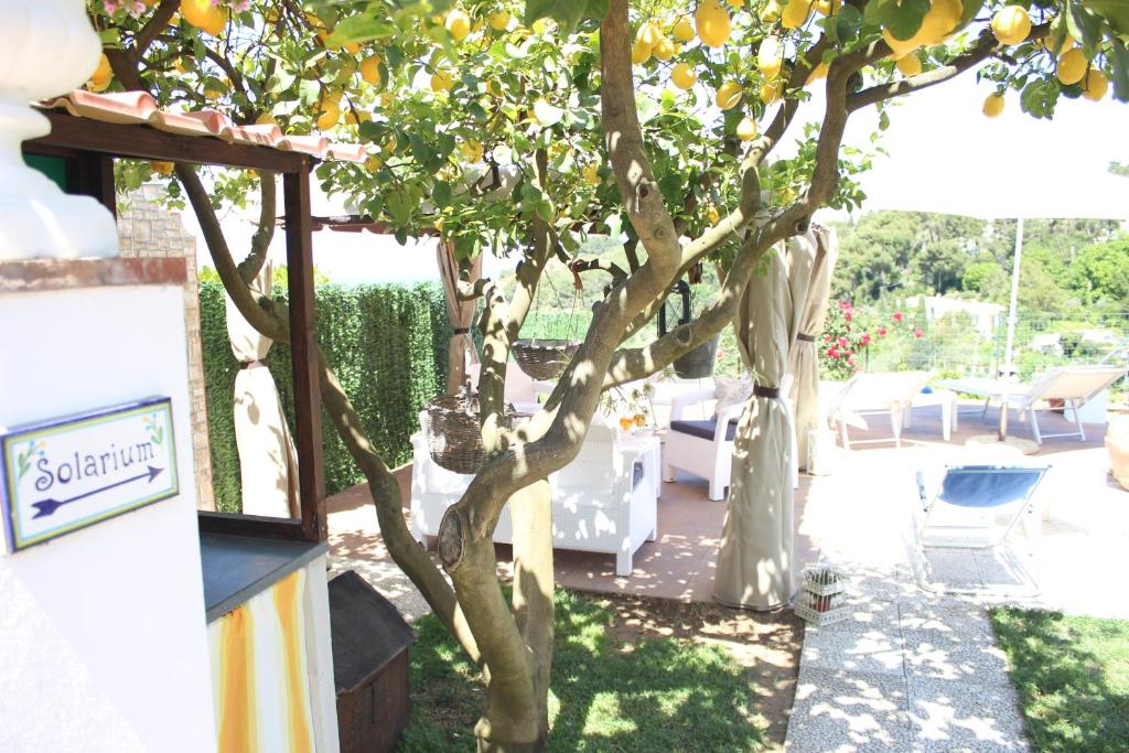 Zahrada ubytování B&B Villa Cristina