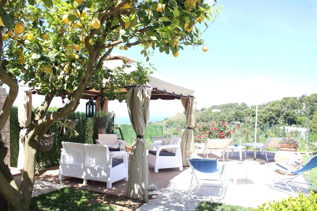 Zahrada ubytování B&B Villa Cristina