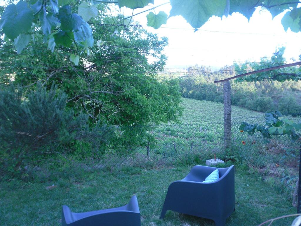 two blue chairs sitting in the grass in a yard at Casas DeCá & DeLá in Ponte de Lima