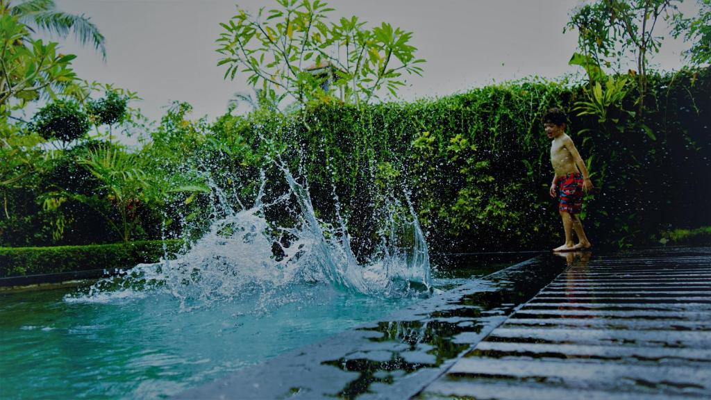 Ubud Paradise Villa - 18