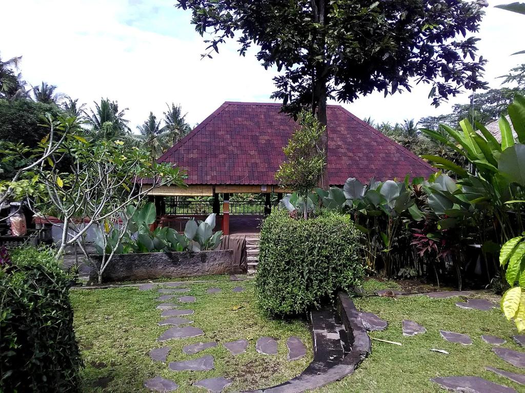 Zahrada ubytování Astawa House