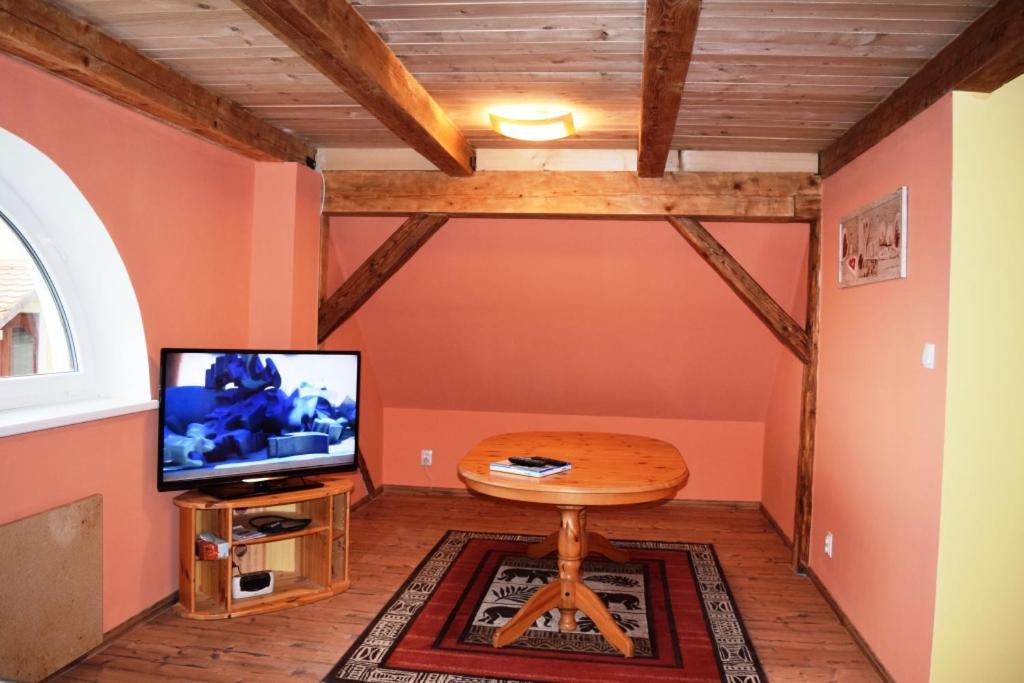 TV a/nebo společenská místnost v ubytování Hrazdeny statek Mytinka