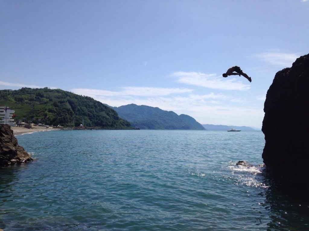 ptak latający nad wodą w obiekcie Guest House in Sarpi w mieście Batumi