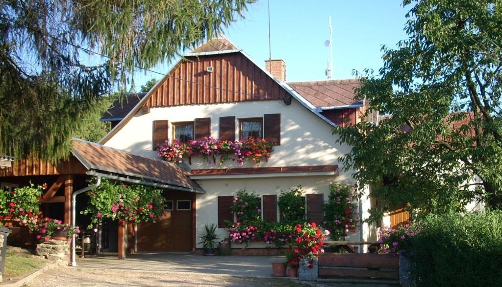 Jestrabi V KrkonosichにあるPension Ivankaの窓際の花の白い家