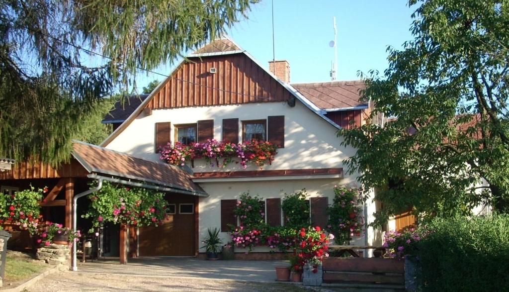 Zahrada ubytování Pension Ivanka