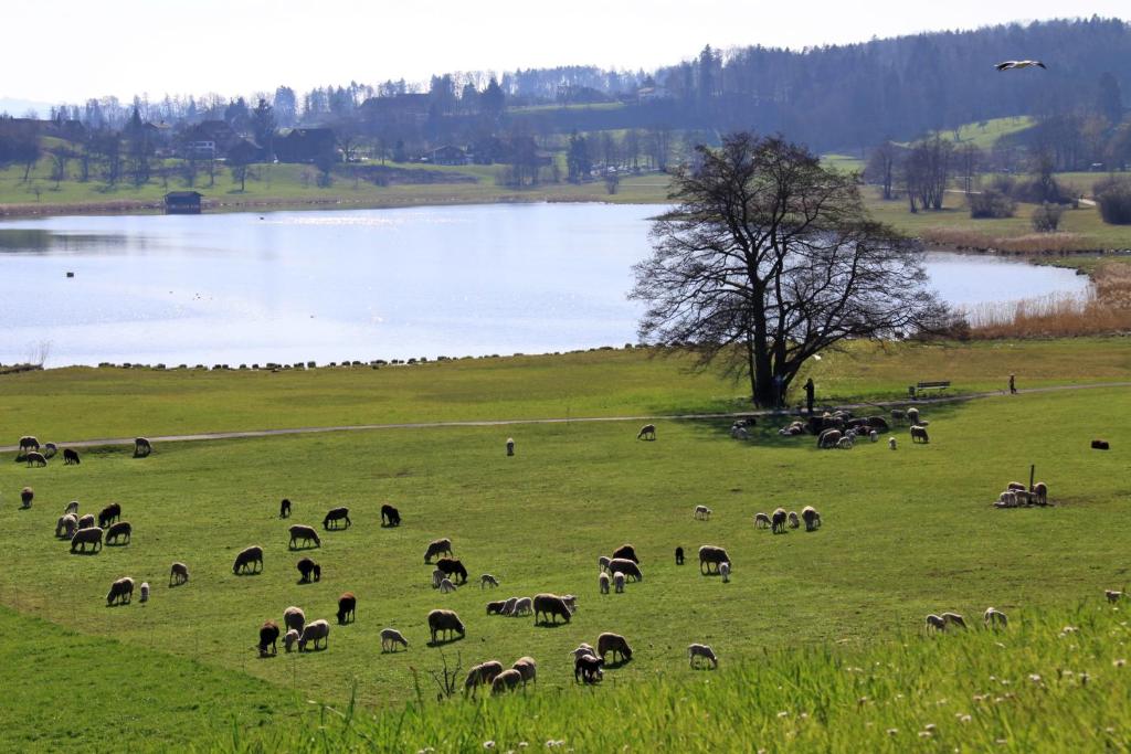 Paesaggio naturale nelle vicinanze del bed & breakfast