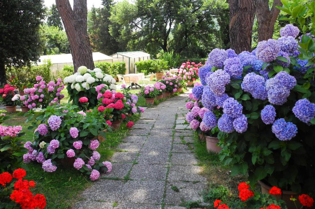 Zahrada ubytování Hotel Le Renaie