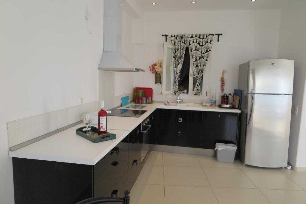 Kuchyň nebo kuchyňský kout v ubytování Villa Kampanelli