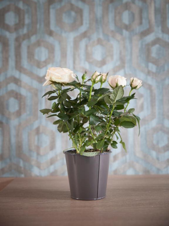 Hotel Chabrol Opera - Resim 19